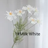 Milk White