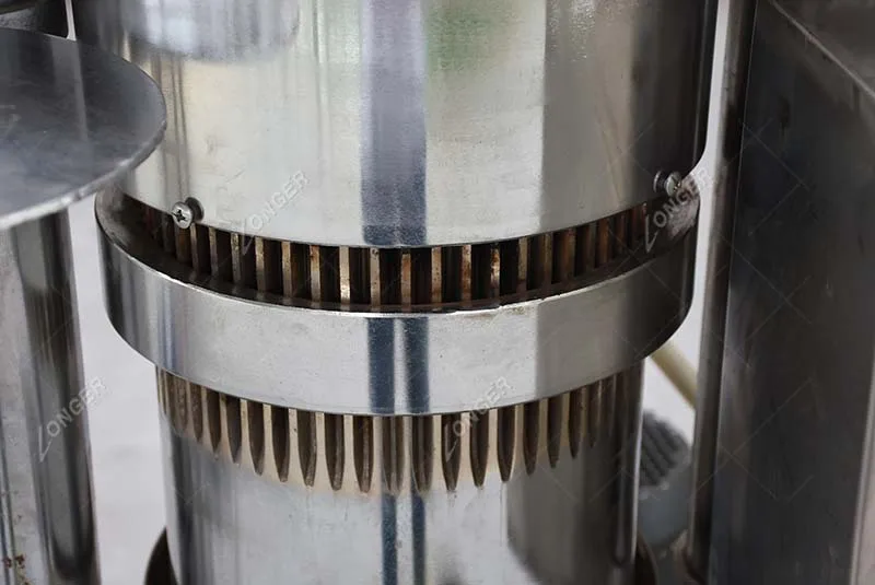Factory Price Neem Eucalyptus Oil Extraction Machine Peanut Hydraulic Oil Press Machine in Pakistan