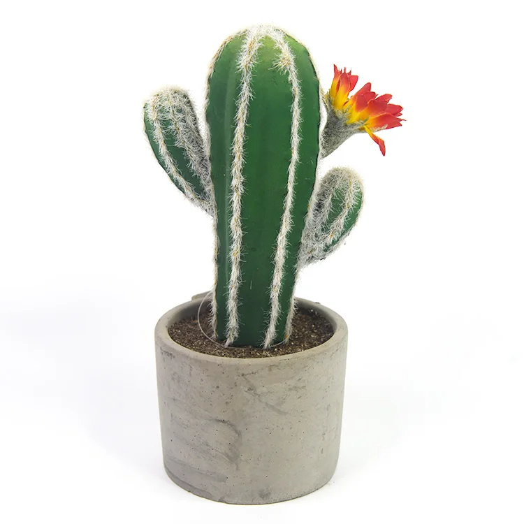 圆形水泥盆栽室内装饰人工多肉植物仙人掌植物批发