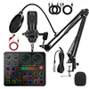 bm800 black +KSA3 English + headphones