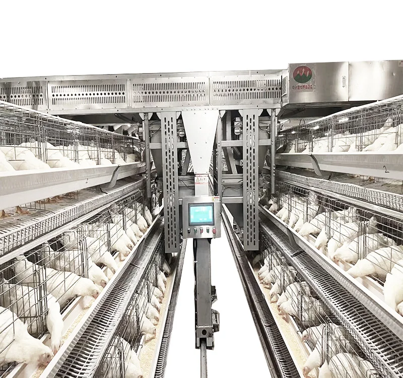 Automatic Feeding System Breeder Chicken Cage Breeding