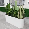 Personalizado