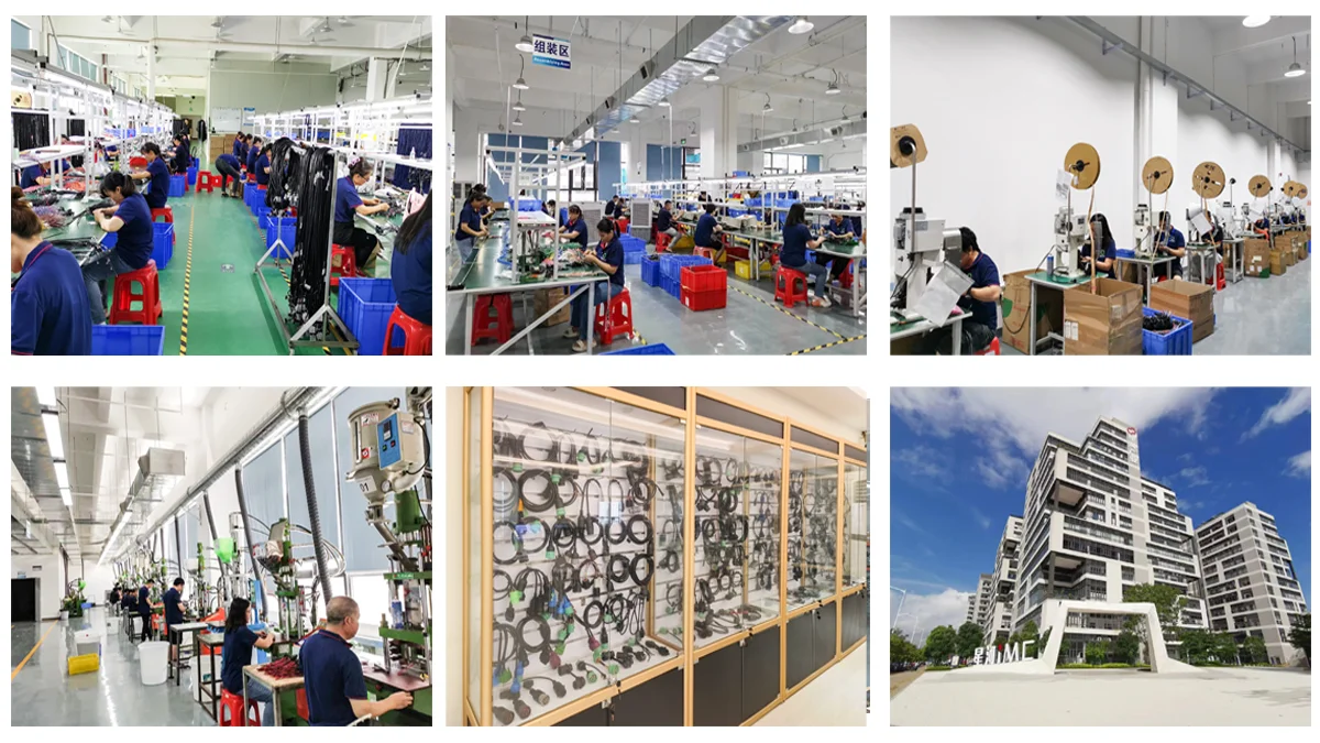 Shenzhen Cactus Electronics Co., Ltd. 1