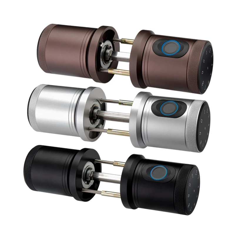 Ttlock App Biometrics Automatic Smart Cerradura Inteligente Puerta Exterior De Seguridad Fingerprint Keyless Room Door Lock