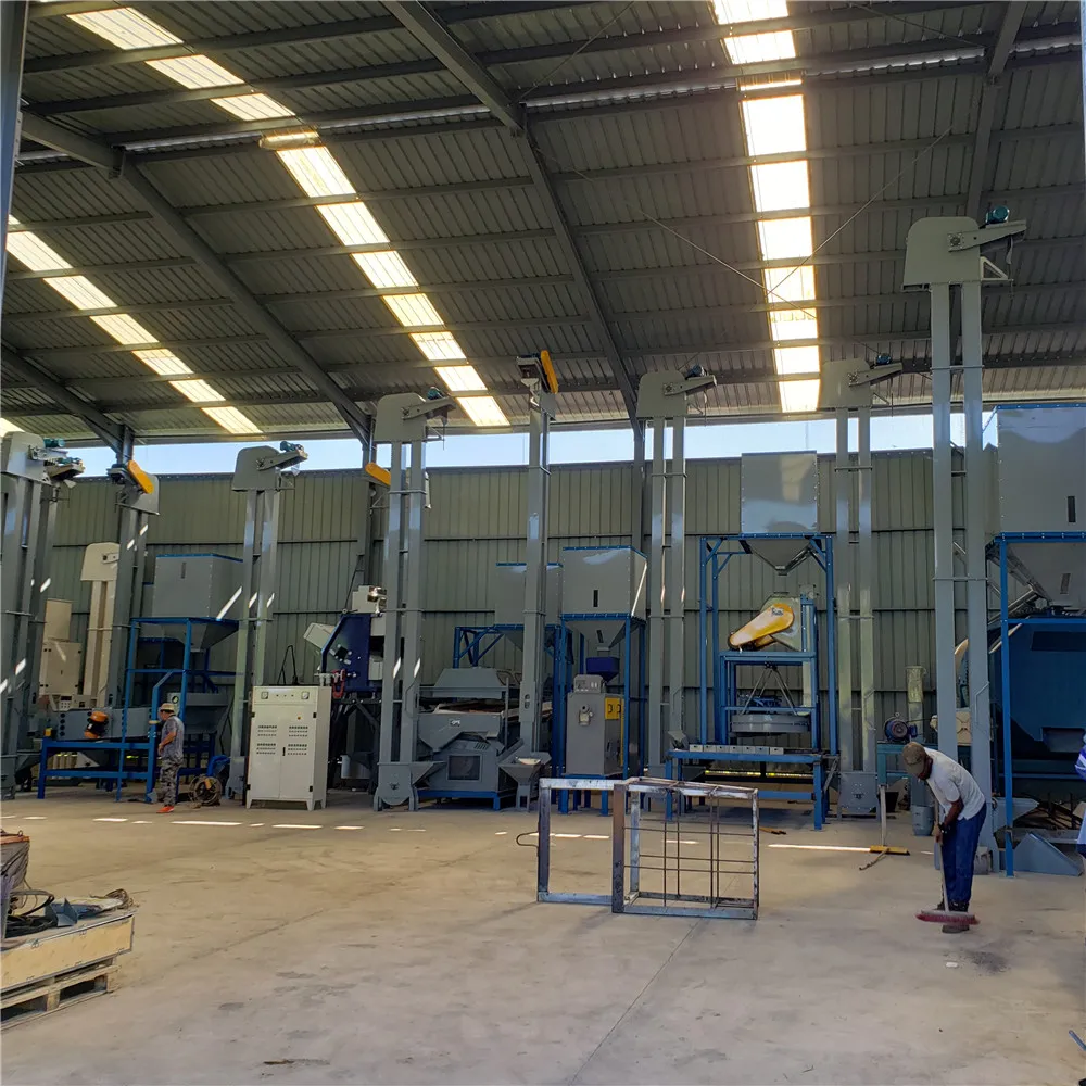 Dry Coffee Bean Machine Cleaning and Processing Plant Farm Equipment