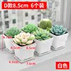 White D style, 8.5cm, 6-pack