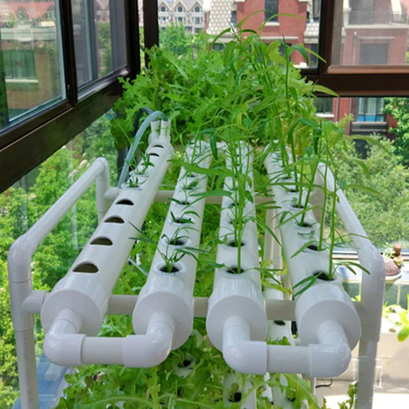 Full Automated Greenhouse Structure with Hydroponic System Irrigation for Greenhouse