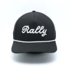 sample