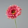 nuova rosa rossa