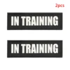 ในคำพูดของ Tranning White