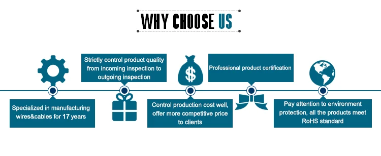 WHY CHOOSE US.jpg