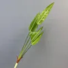 5 cabezas de taro de bambú acuático, 78 cm