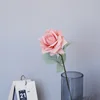 สี หมายเลข10