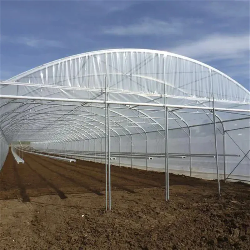 Economical Tunnel Green House Equipment Vegetables Hot Sale Single Span ...