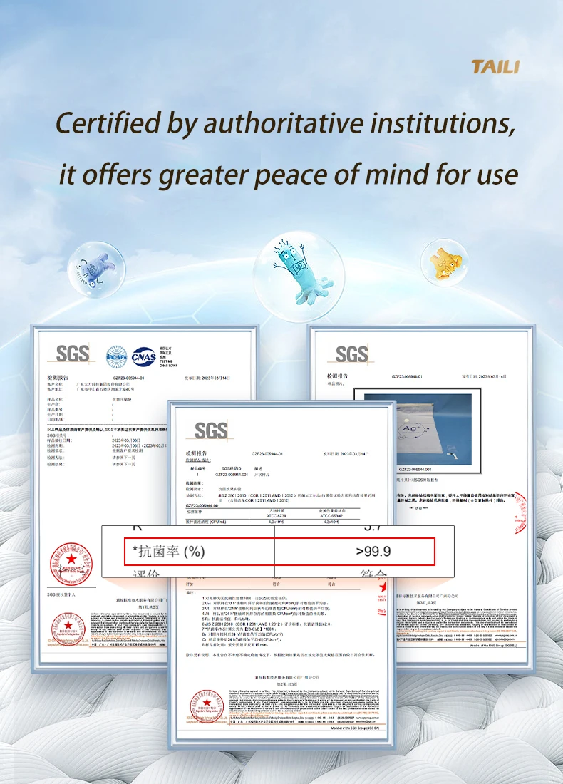 Taili Household Silver Ion Antibacterial Storage Bag Foldable Vacuum Compression for Clothing Quilts for Kitchen Bathroom Use