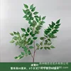 Lingxiao leaf