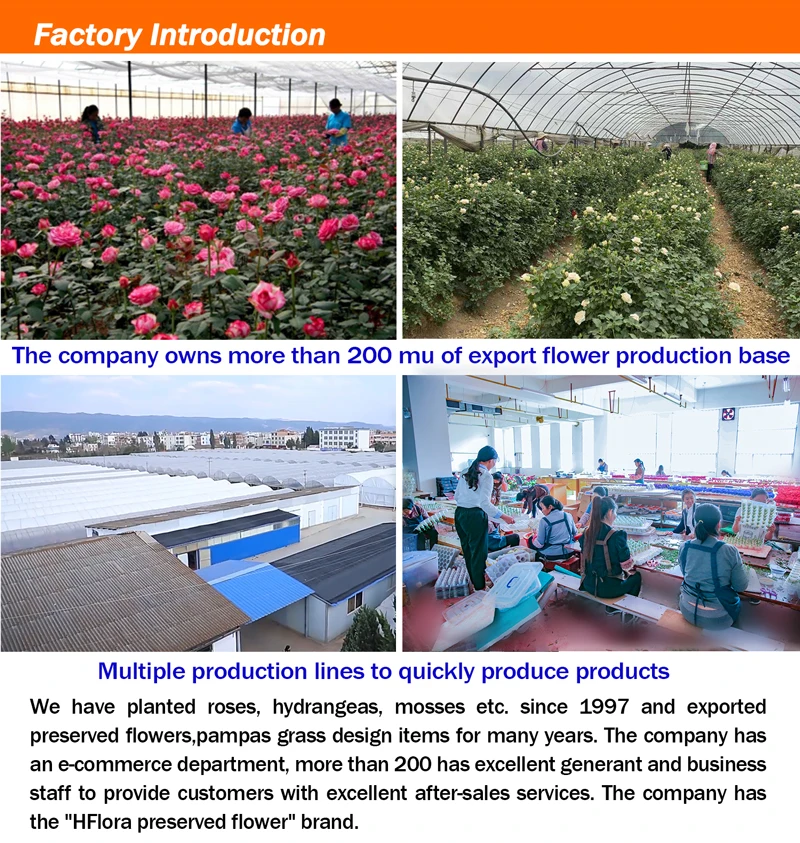 Hfloral Wholesale Preserved Rose Flowers In Box For Valentines Custom