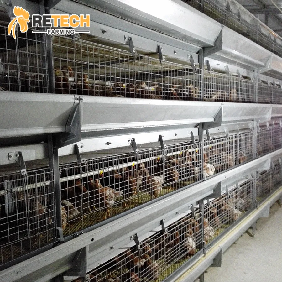 Fully Automatic H Type 1 Day Old Baby Layer Chicks Chicken Cage for Laying Hens