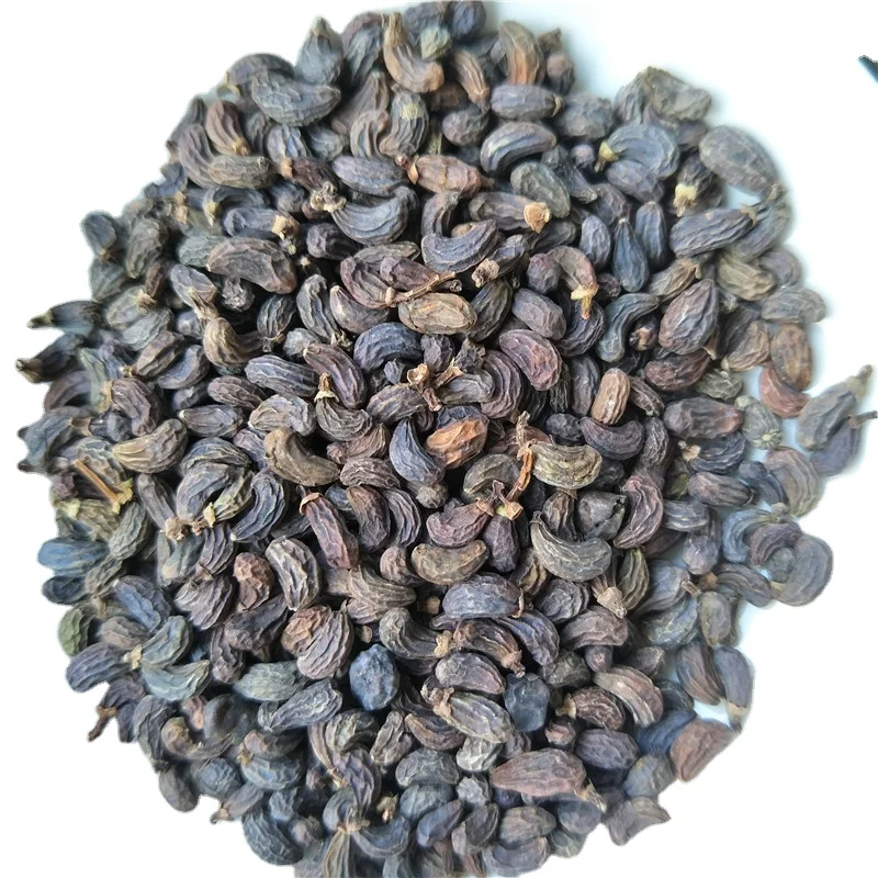 Dried Ligustrum Lucidum Fruits - Raw Glossy Privet Fruit from China,  Wholesale Dried Fruits for Food & Beverage Industry
