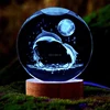 Dolphin Moon