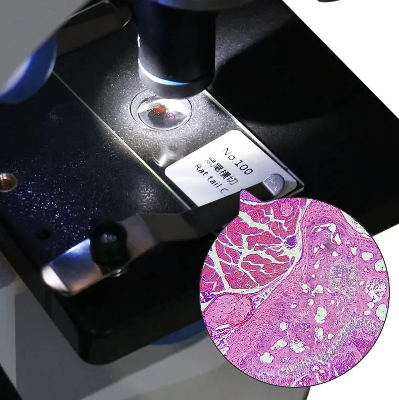 Biological Science Educational Oral Pathology For Teaching And Learning