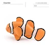 Clownfish