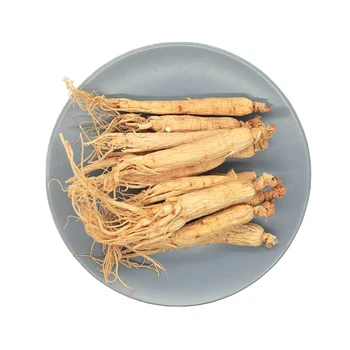 Factory price natural health products natural ginseng root