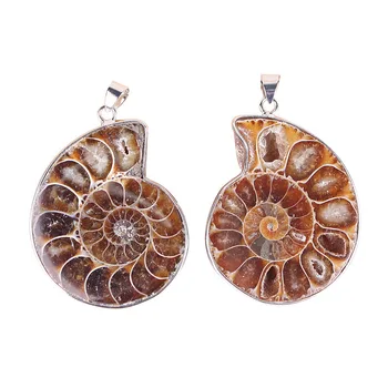 Wholesale Natural Fossils Conch Pendant Ammonite Agate Slices Pendant For Necklace