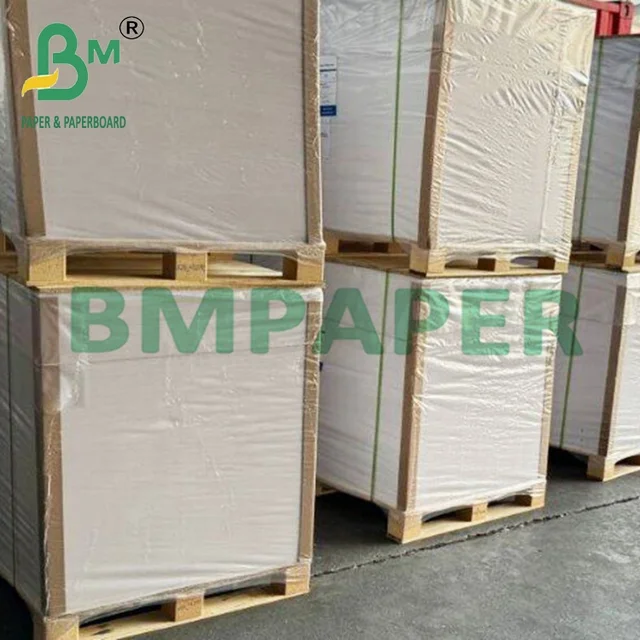 325gsm 350gsm Food Grade C1S Coated Paperboard For Frozen Packing White Color