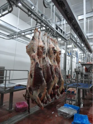 Production Line Cow Abattoir Slaughtering Processing Halal Slaughterhouse Equipment From China