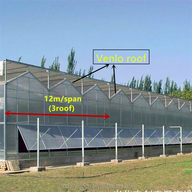 modern greenhouse