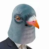 Maschera di piccione grigio