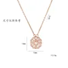 rosa 002