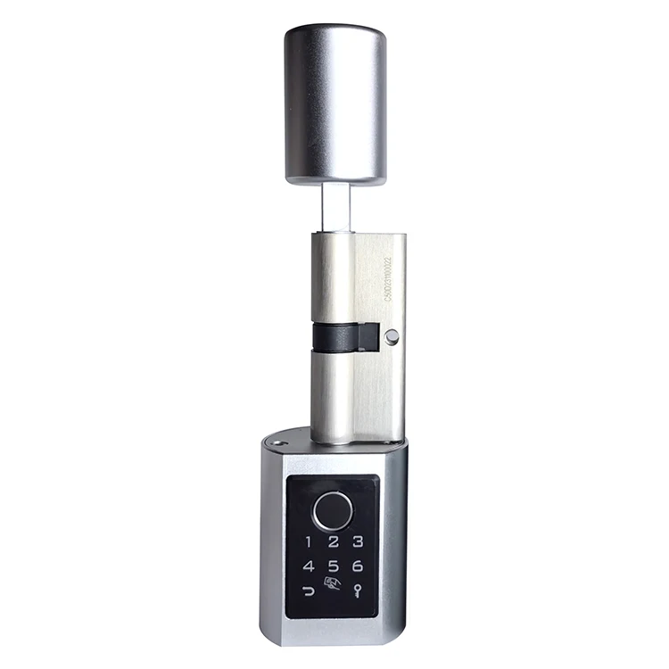 Smart Ttlock Cylinder Fingerprint Door Lock Password Card OTP Doors Handle with Locks & Keys Digital Cerradura Inteligente