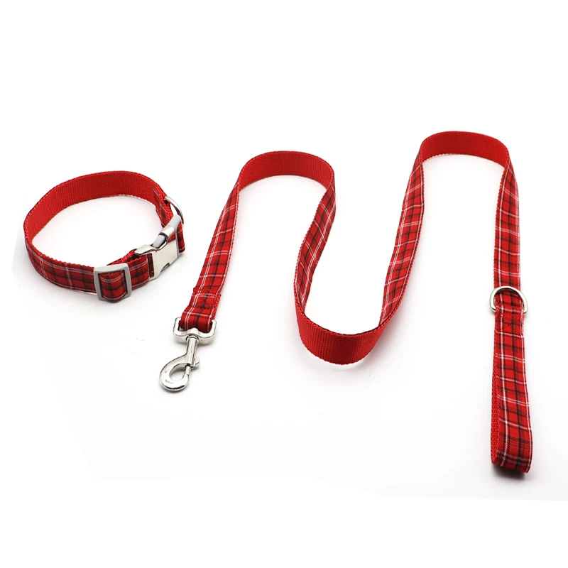 large custom dog collars