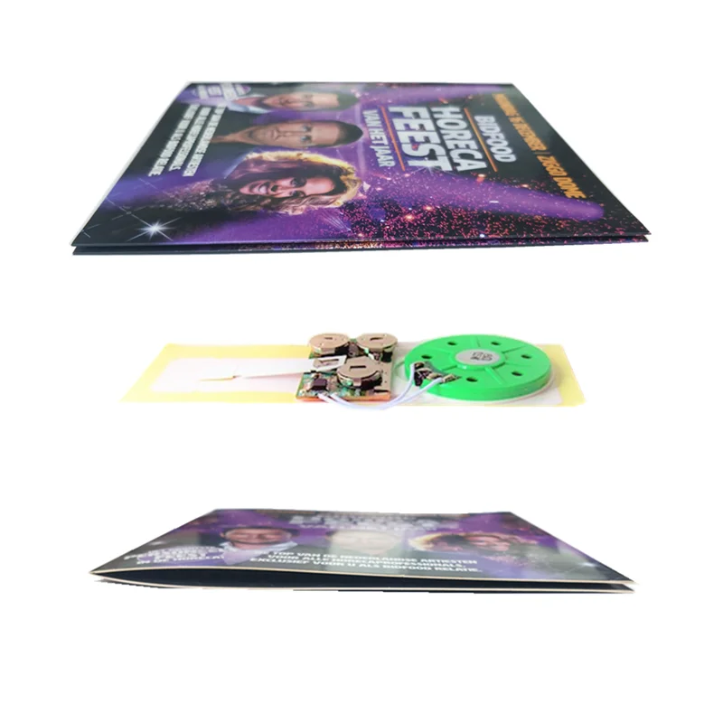 Customize Programmable Recordable Slide Tongue Music Chip Sound Module For Greeting Card