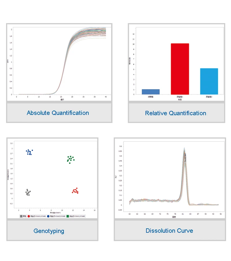 Wayeal Gt96 96 Well Pcr Plates Realtime Fluorescence Quantitative Pcr