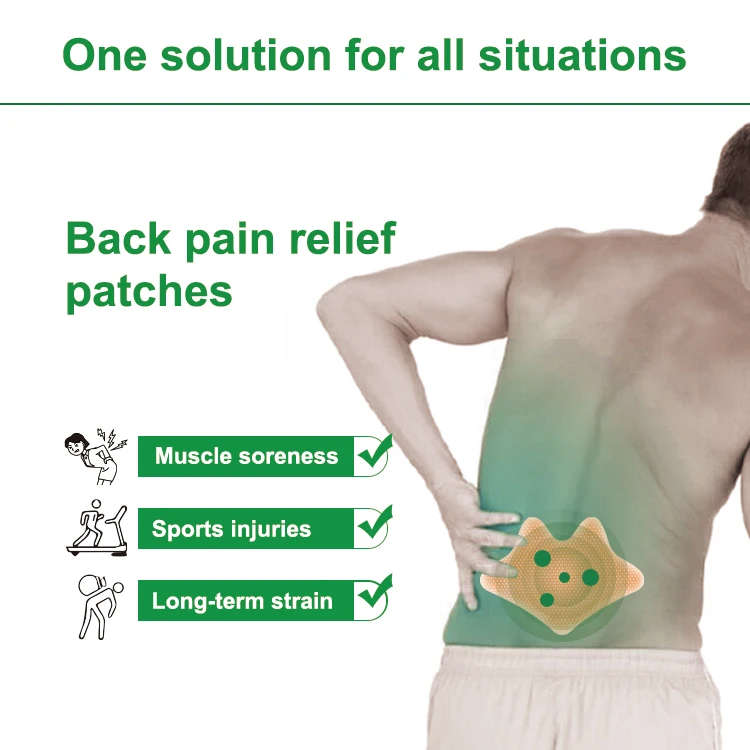Back Pain Patches Extra Strength Flexiback Lumbar Spine Pain Relief Patches Lower Back Pain at Spine