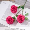 XH2-3 Heads New Round Rose - Rose Pink