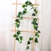 Hojas de potos en forma de alambre