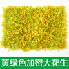 Cacahuètes cryptées jaune-vert