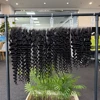 Deep Wave