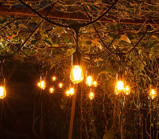 Профессиональный завод Праздник Декоративные Водонепроницаемый светодиодные огни строки для свадьбы