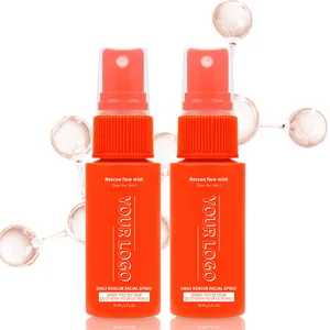 Organic Vegan Aloe Vera Hyaluronic Acid Vitamin C Facial Mist Purifying First Aid Face Toner Moisturizing Acne-Prone Oil-Control