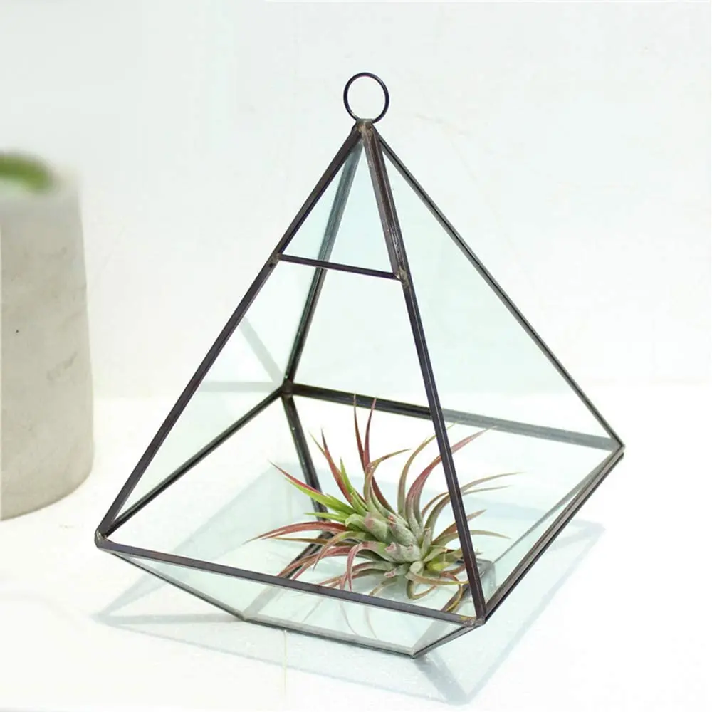 Glas-Blumentopf Dodekaeder – Geometrisches Terrarium, 12x12x14 Cm, Für Sukkulenten & Deko