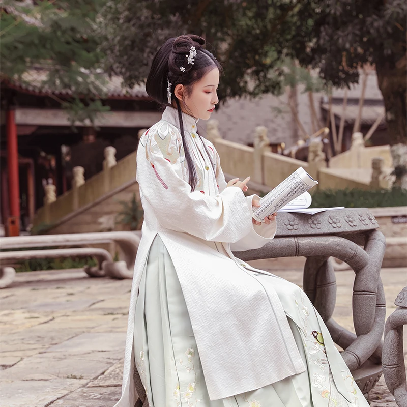 chinese traditional dress hanfu