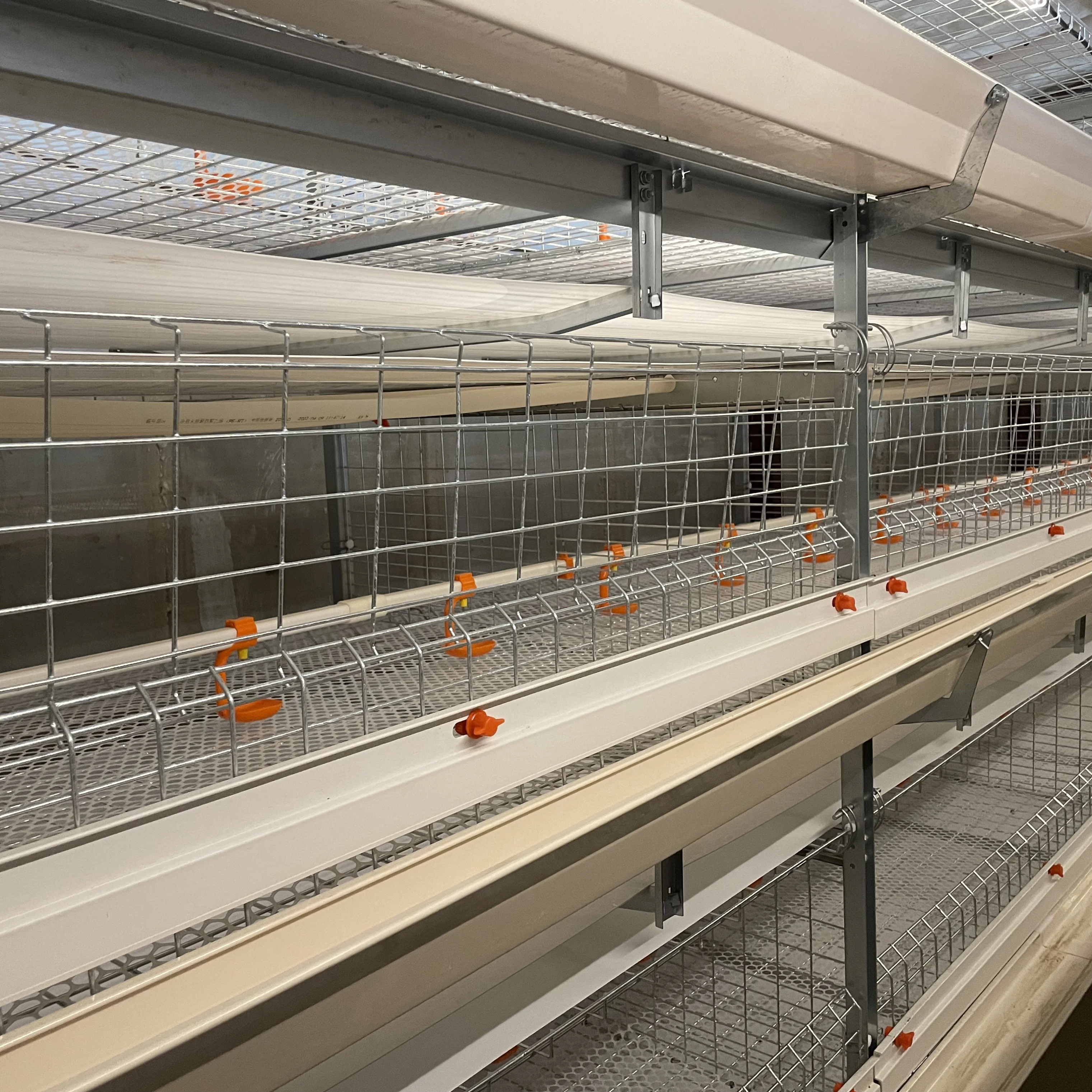 Broiler Cage Automatic h Shape with Trolley Feeding System Battery Cages for Poultry Broiler Long Life Chicken Broiler Cage