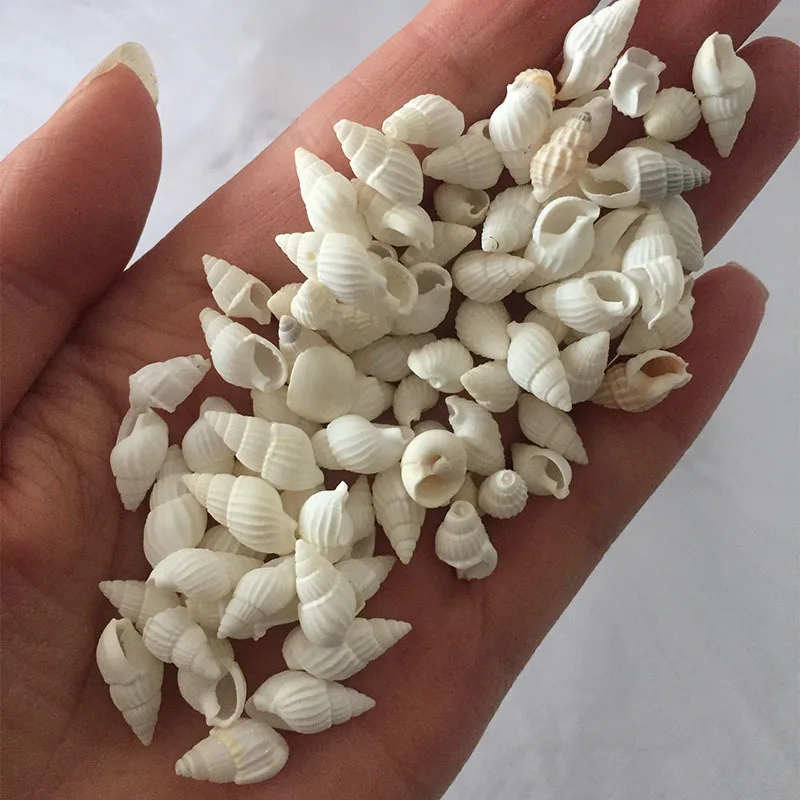 1-2 cm Natural Mini Small Sea Conch Shells for Crafts Wedding Decor Beach Theme Party Fish Tank and Vase Filler Home Decor
