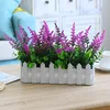 30CM fence lavender red