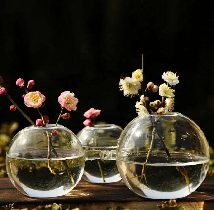 Vaso Per Pesci In Vetro Yardwe - Sfera Decorativa Per Acquario, Desktop Casa/Ufficio - Foto 6